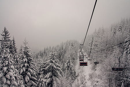 person showing cable cars near green trees covered with snow thumbnail