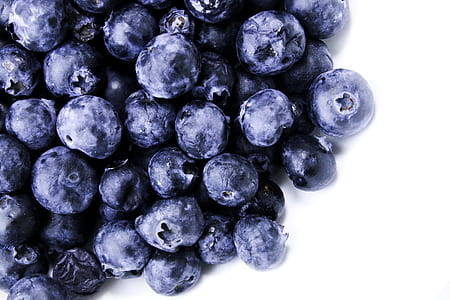 blue berry lot thumbnail