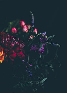 selective focus photography of flowers thumbnail