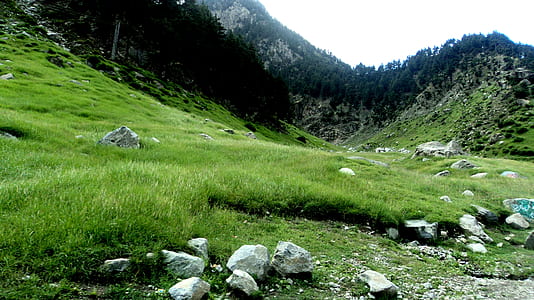 rocks on grassland thumbnail