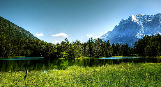 landscape reflection photography of pine trees near river thumbnail