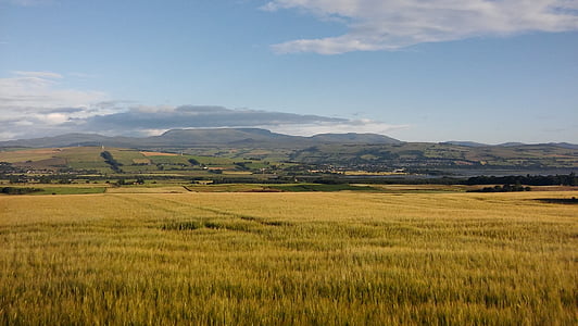 view of greenfield under cloudy sky thumbnail