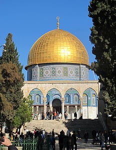 people gathering in mosque at daytime thumbnail