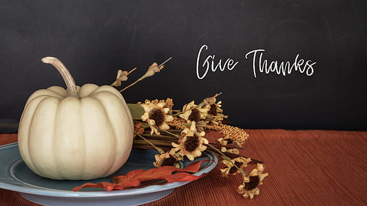pumpkin beside flower on blue plate thumbnail