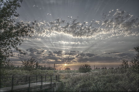 green field during sun set illustration thumbnail