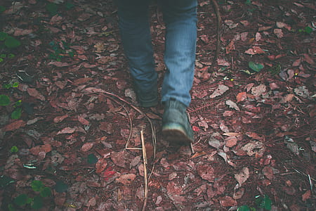 person wearing blue jeans and black leather shoes walking on ground with dry leaves thumbnail