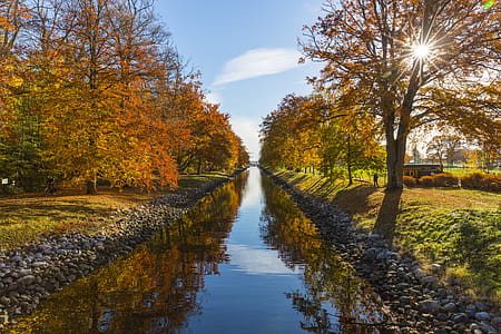 River Between Brown Leafed Trees during Daytime thumbnail
