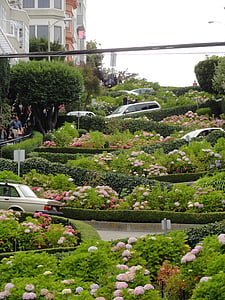 cars on zigzag road with surrounding plants and flowers thumbnail