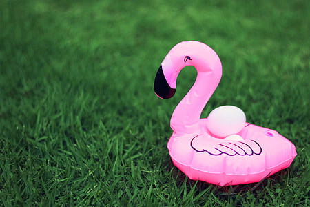 pink inflatable flamingo on green grass field thumbnail