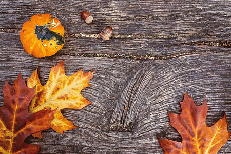 Autumn leaves and pumpkins over old wooden background thumbnail