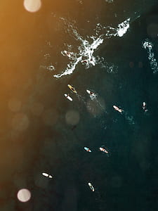 aerial photo of ships on large body of water thumbnail