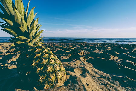 pineapple on sand thumbnail