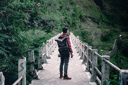 man standing on footbridge in the middle of rainforest thumbnail