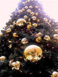 Low Angle Shot of Christmas Tree With Gold-colored Bauble thumbnail