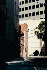 silhouette of man facing building thumbnail