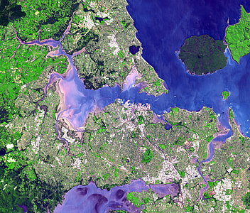 Satellite view of the Auckland isthmus and Waitemata Harbour, New Zealand thumbnail