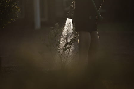 person watering plants with water sprayer thumbnail