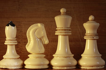 closeup photography of four bishop, horse, king and queen chess pieces thumbnail