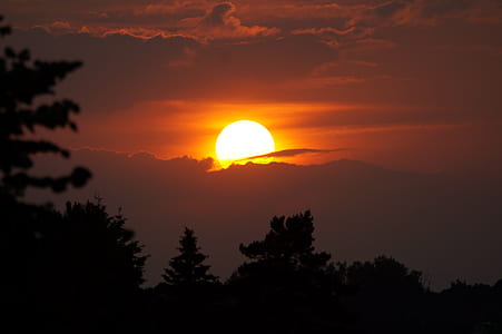 silhouette of trees under pale evening sky thumbnail