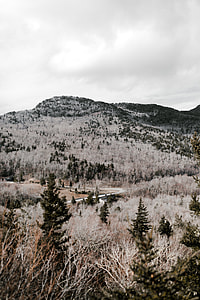mountain with grass thumbnail