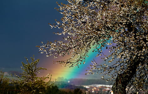 rainbow thumbnail