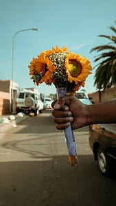 yellow petaled flowers thumbnail