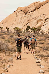 people walking on pathway thumbnail