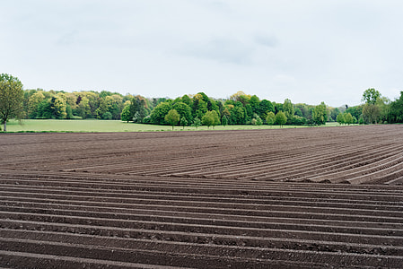 photo of land covered with soil thumbnail