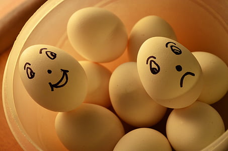 white eggs in clear plastic container thumbnail