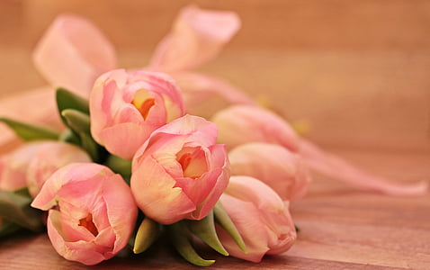 bouquet of pink peony thumbnail