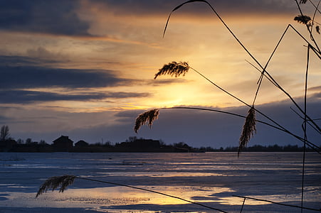brown grass during golden hour thumbnail