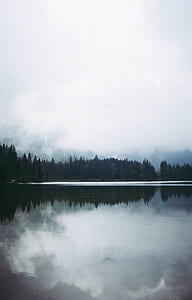body of water surrounded by trees under cloudy sky thumbnail