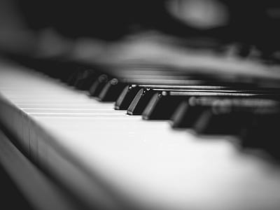 black-and-white, piano, keyboard, musical instrument thumbnail