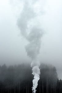 smoke on air near trees during daytime thumbnail