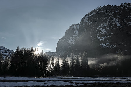 mountain peak near green tall trees thumbnail