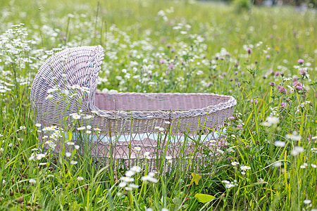 pink and white bassinet on green grass field at daytime photo thumbnail