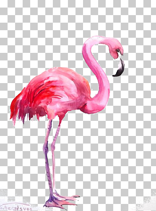 Flamingo Watercolor painting, Flamingos, pink flamingo illustration PNG clipart