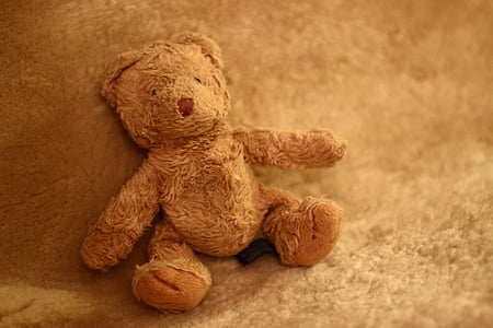 brown bear plush toy thumbnail
