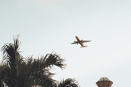 Low Angel Photo of Flying Air Liner thumbnail