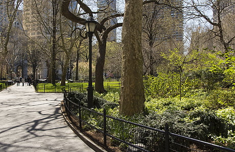 concrete pathway near trees at daytime thumbnail
