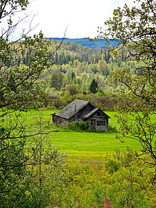 gray house in t he center of forest thumbnail