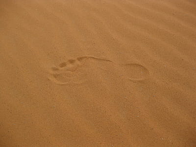 Single Foot Print on the Sand thumbnail