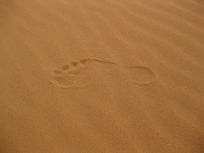 footprint thumbnail