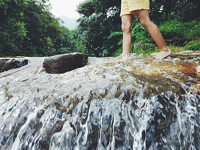 person walking in water near tall trees thumbnail
