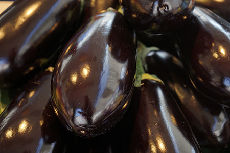 eggplants thumbnail