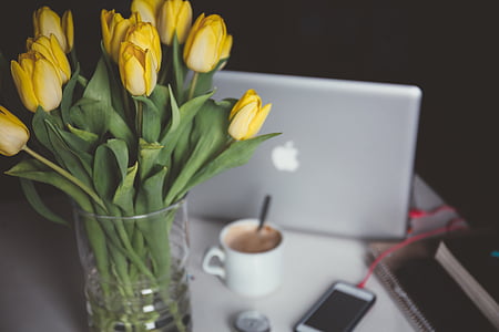 bouquet of yellow tulips in glass vase thumbnail