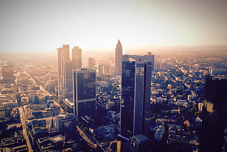photo of high rise buildings thumbnail