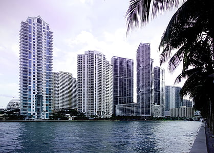 high-rise building near body of water thumbnail
