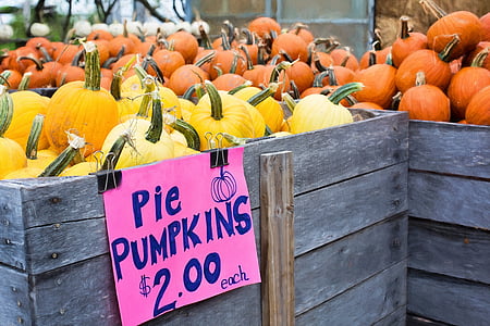 pie pumpkins in crate thumbnail