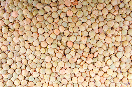 close-up photo of brown pellets thumbnail